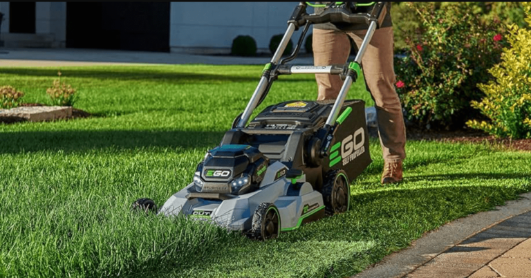 Best Budget Electric Lawn Mowers 2024